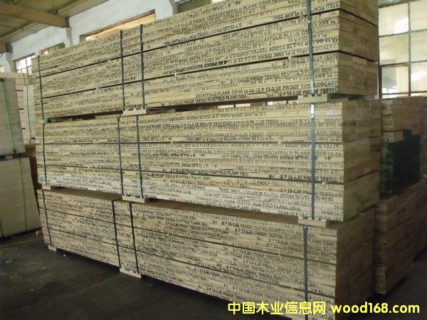 ��ľ�_̤��