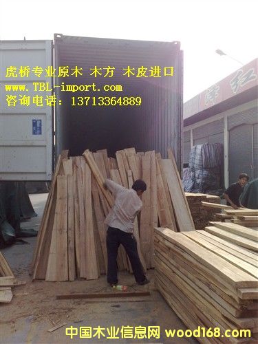 ̩�����zľ�M�ڵ�̫�}�ۈ��P���C��Ҫ��Щ��