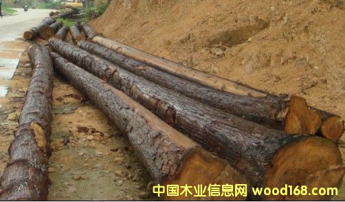 ԭľ��Ԕ����B