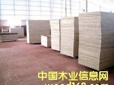 ����ģ���Ԕ����B