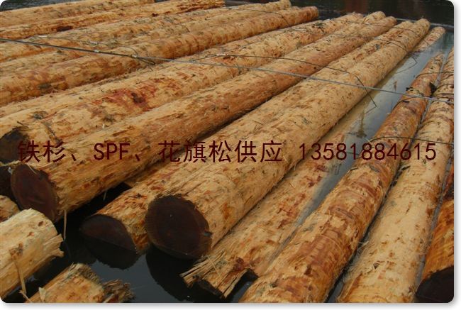 �c���鿴������ Douglas Fir ԭľ J�Ŵ�DƬ