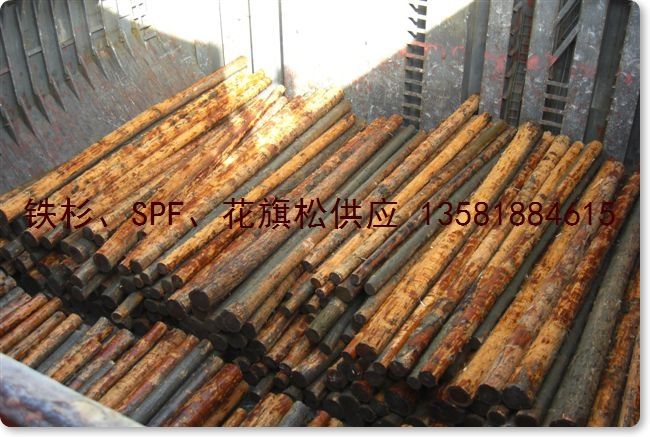 �c���鿴�Fɼ hemlock ԭľ k�Ŵ�DƬ