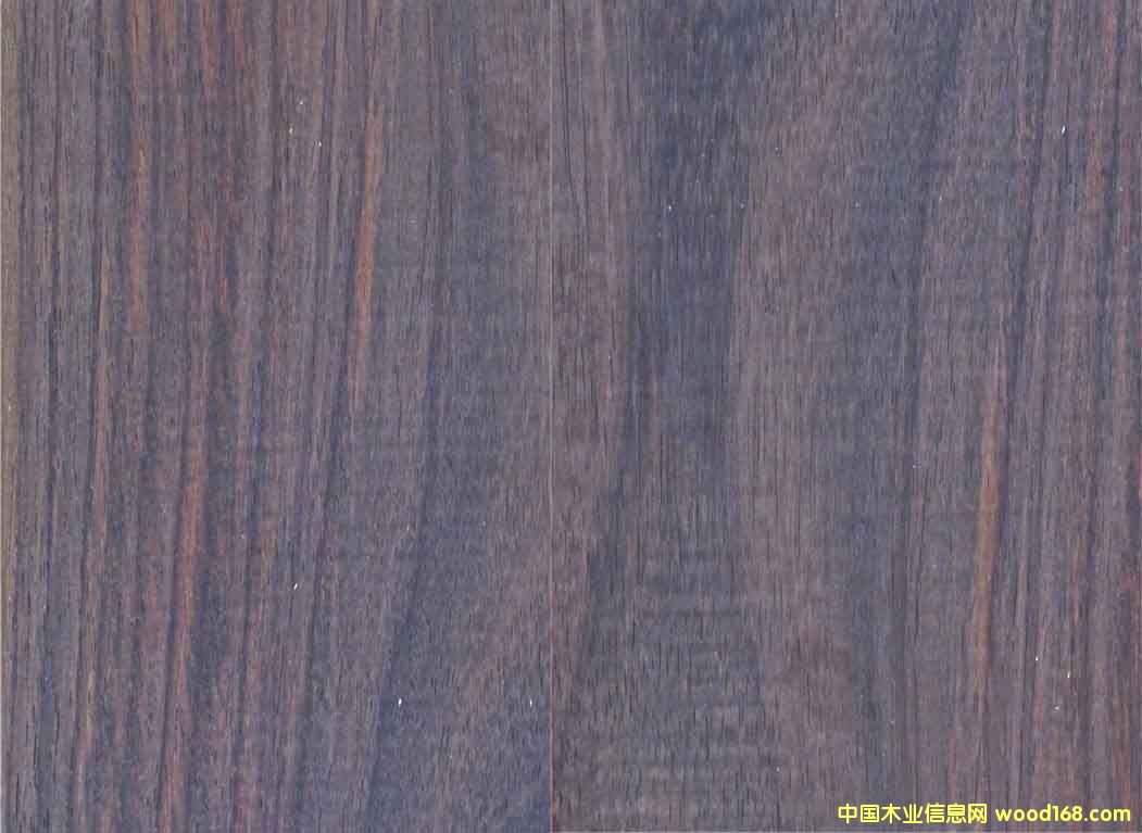 ��֦