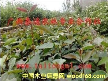 �Ͳ� �Ͳ��� �Ϫܛ֦�Ͳ� �Ͳ�Nֲ���g �V��̩ͨ���Fľ��