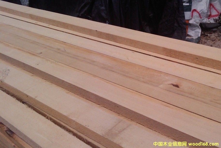 ɣ�����Fɼ