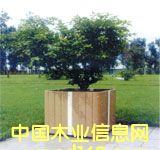 ��ľ��ľ�ܣ������Ԕ��(x��)��B