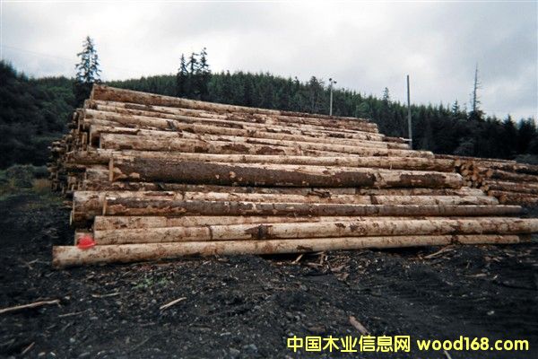 ����(gu��)��ɼ