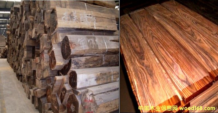 ܊���� �Fľ����Ԕ����B