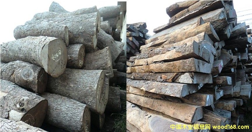 Ƥ�ң�����̴����Ԕ����B