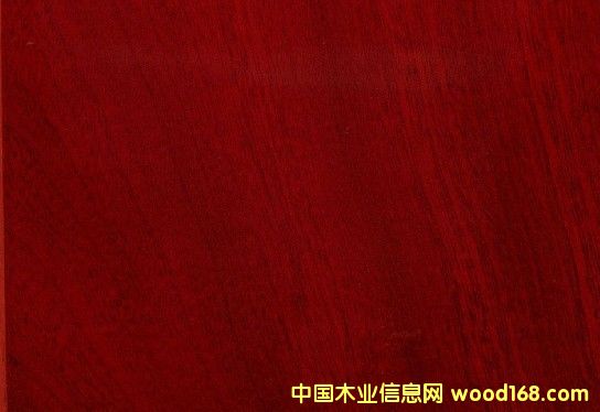 �{(l��n)ɫ�l(w��i)���������(y��ng)��(y��u)�|(zh��)���޼t̴,�gӭӆُ 