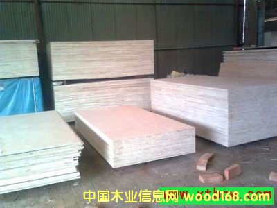 ��ľ����