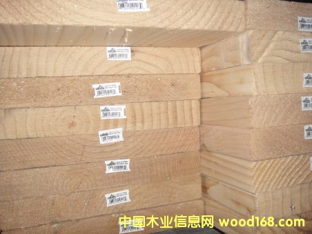 ���ô��Fɼ