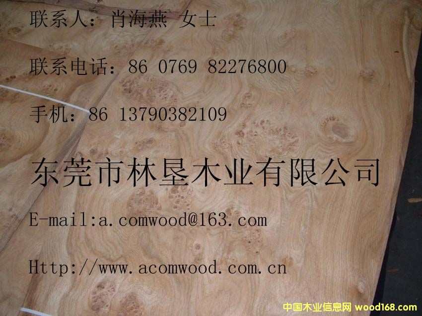 ��ľ����