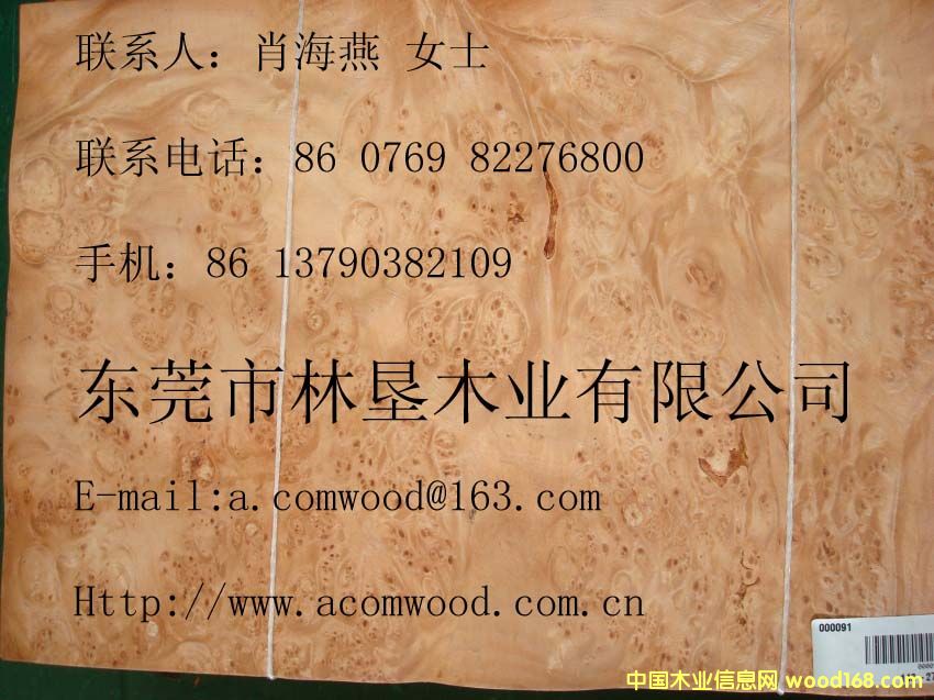 ��ľ����