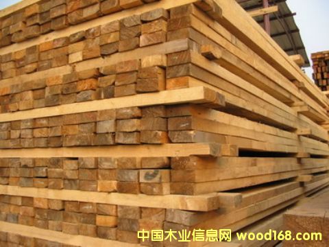 ����ľ��