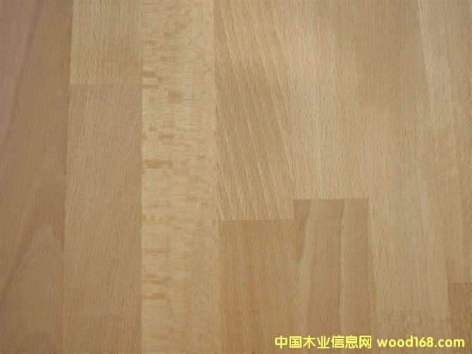 ��ľB����Beech character��Ԕ����B