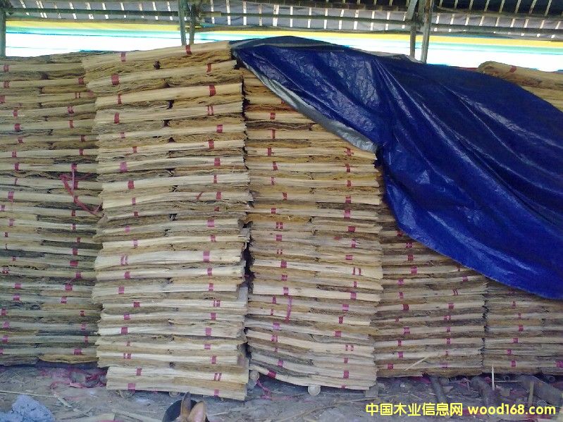 ��ľ�ΰ��Ԕ����B