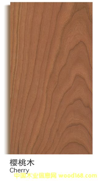 �������Ҍ�(sh��)ľ��(f��)�ϵذ�