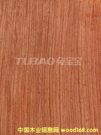 ����ֱ�yROSEWOOD��Ԕ����B