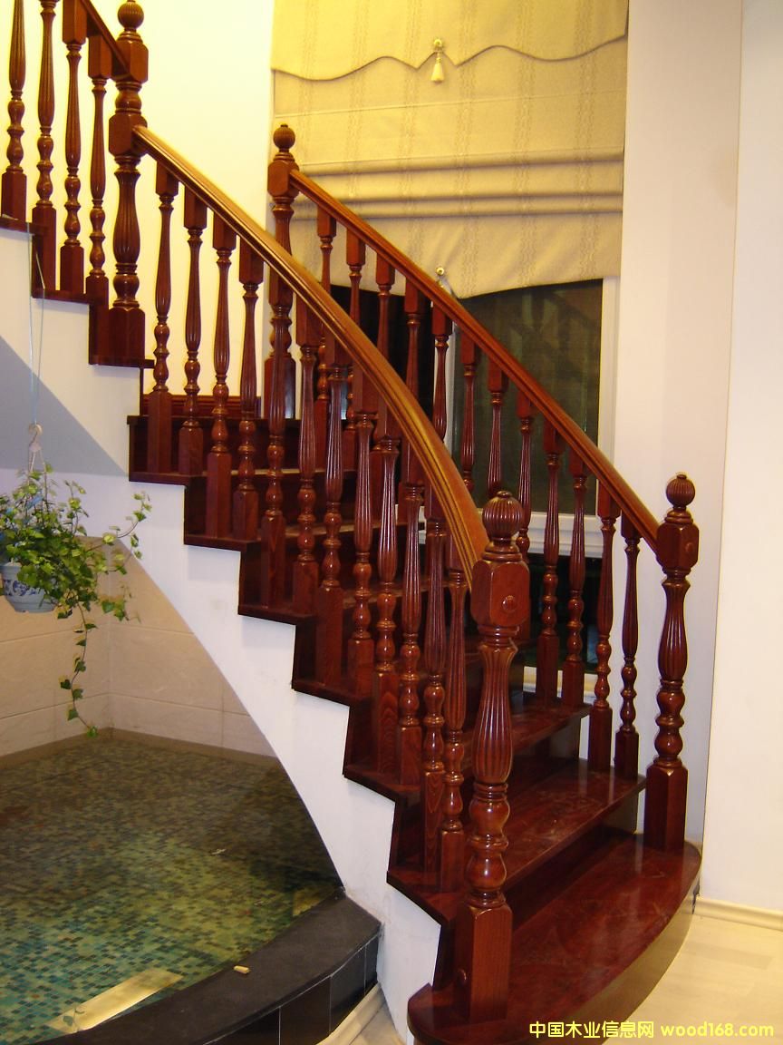 ���ʘ��� ��ľ���� ���m2