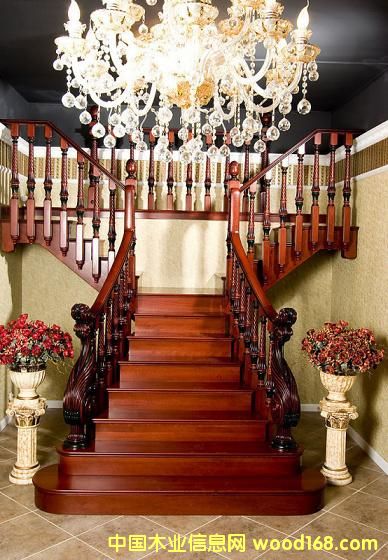 ���ʘ��� ���A�e������2