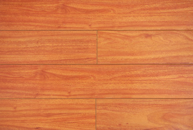 ���������ذ��Ԕ����B