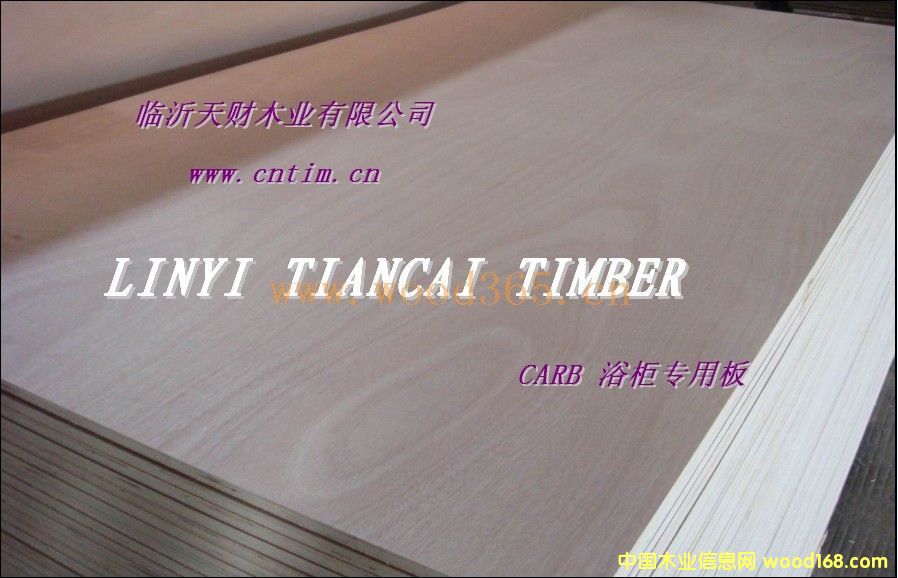 �ͼ�ȩ���|��CARB�z�ϰ��Ԕ����B