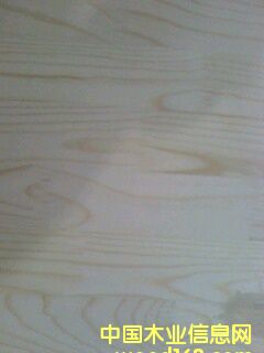 �����ɼ��ɲ�