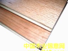 ľ����Ԕ����B