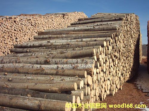 ��ľ��Ԕ����B