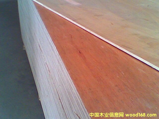 ���ǹ��z�ϰ��Ԕ����B