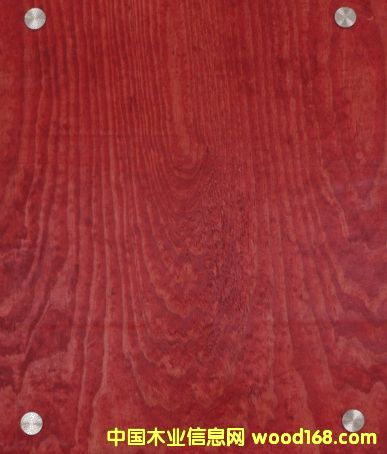 Gz9004���׷Q1.5�t�壩��Ԕ����B