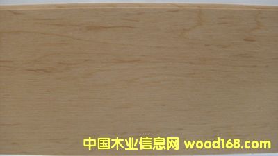 ��ľ�y���w��ľ�ذ��Ԕ����B