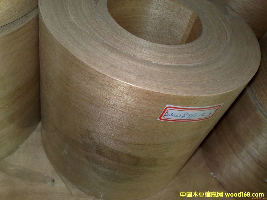 0.3ָ�ӷ�߅�l