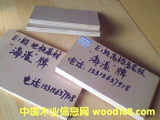 E1��(j��)�ߙn�h(hu��n)���ذ���ĵ�Ԕ��(x��)��B