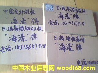 E1��(j��)�ߙn�h(hu��n)���Ҿ߰壻��Ԕ��(x��)��B