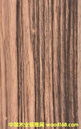 ��̴��Ԕ����B