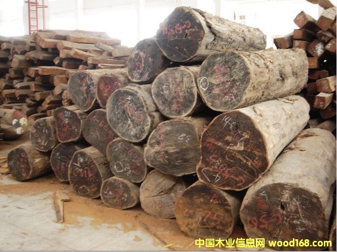 ������ľ�Ҿ߲ĵ�Ԕ����B