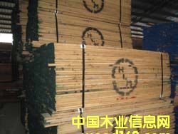 ����ľ�ļt��������ľ���Dľ�ȵ�Ԕ����B