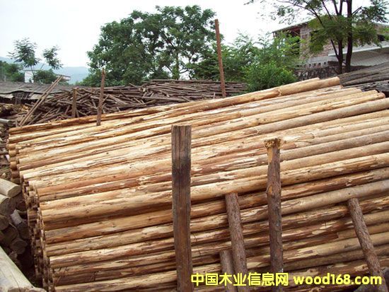 ɼľ3��Ԕ����B