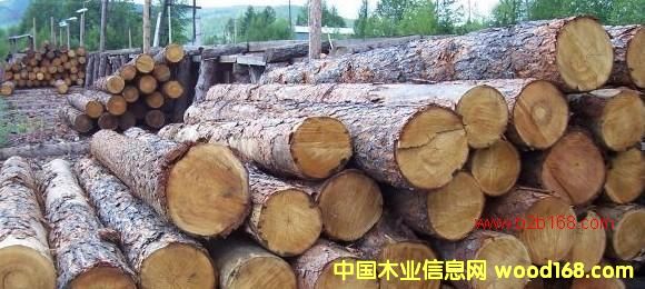 ��ľԭľ3��Ԕ����B