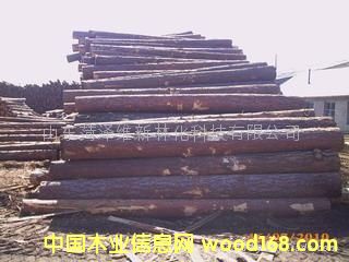 ��ľ��ĵ�Ԕ����B