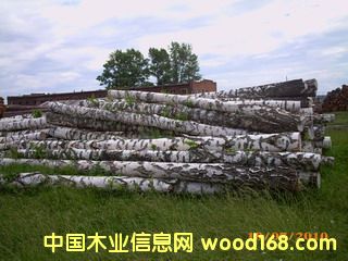 ��ľ���Ԕ����B