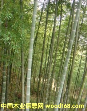 ë���Ԕ��(x��)��B