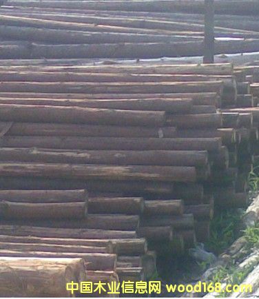 ��ľ��Ԕ����B