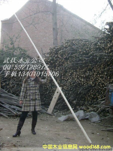 ̫�O��U��Ԕ����B