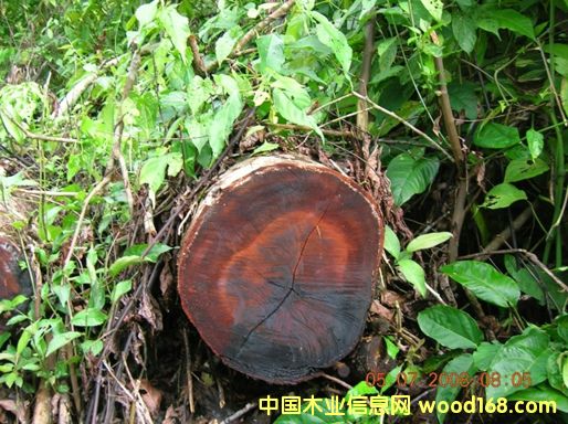 9��Ԕ����B