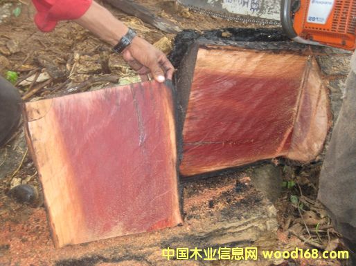 8��Ԕ����B