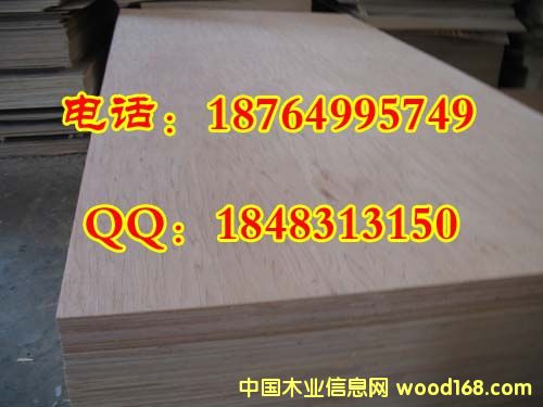 ���ǹ���Ԕ����B