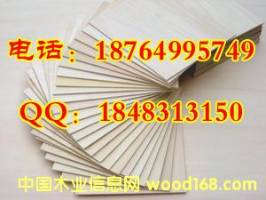 ��ጷż�ȩCARB P2�h���Ҿ߶��Ӱ�
